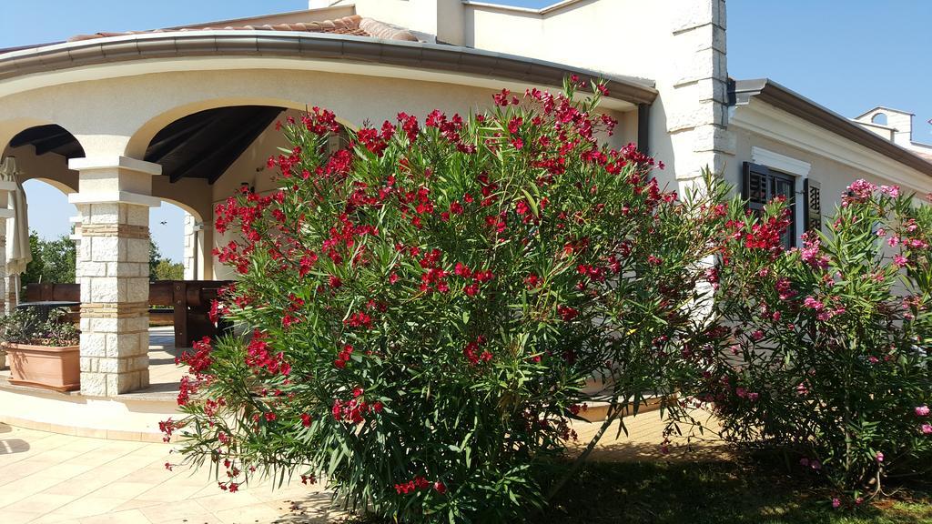 Villa Parenzo Porec Bagian luar foto